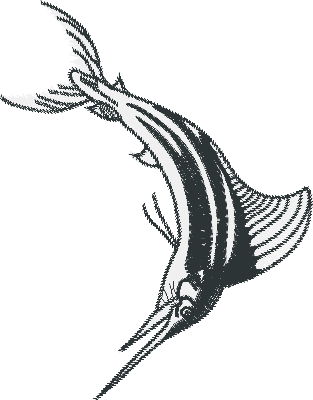 Fish 8  (17)