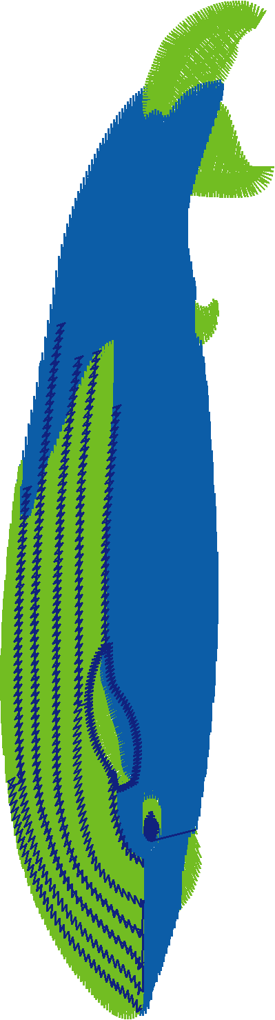 Fish 8  (21)