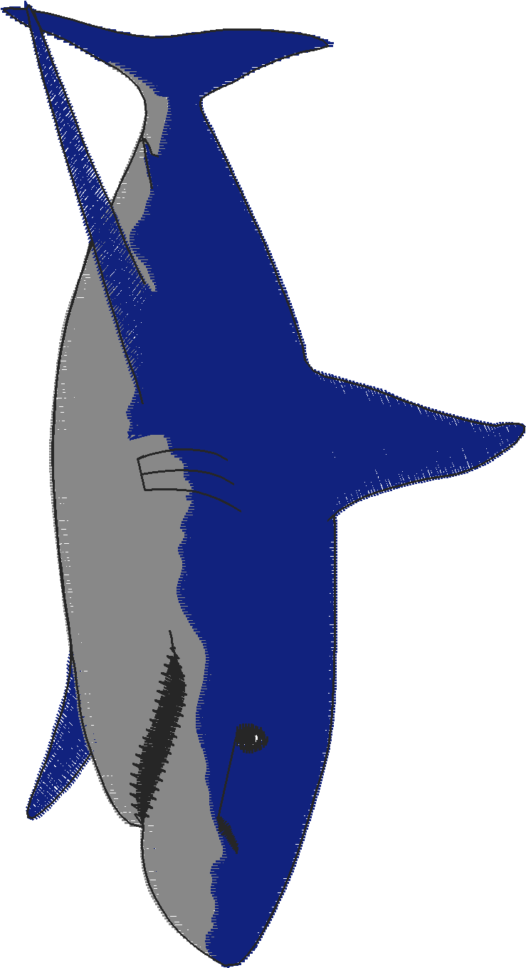 Fish 8  (24)