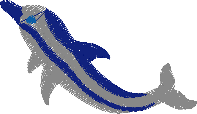 Fish 8  (26)