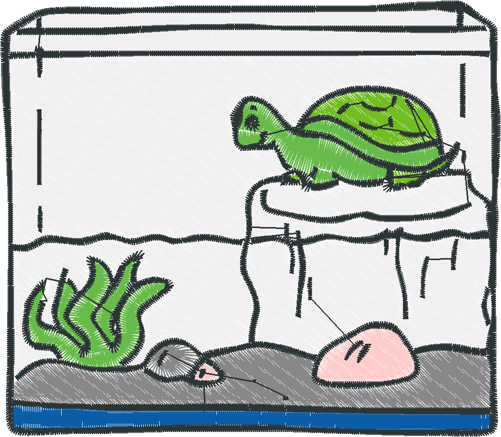 Fish Tanks 1  (5)