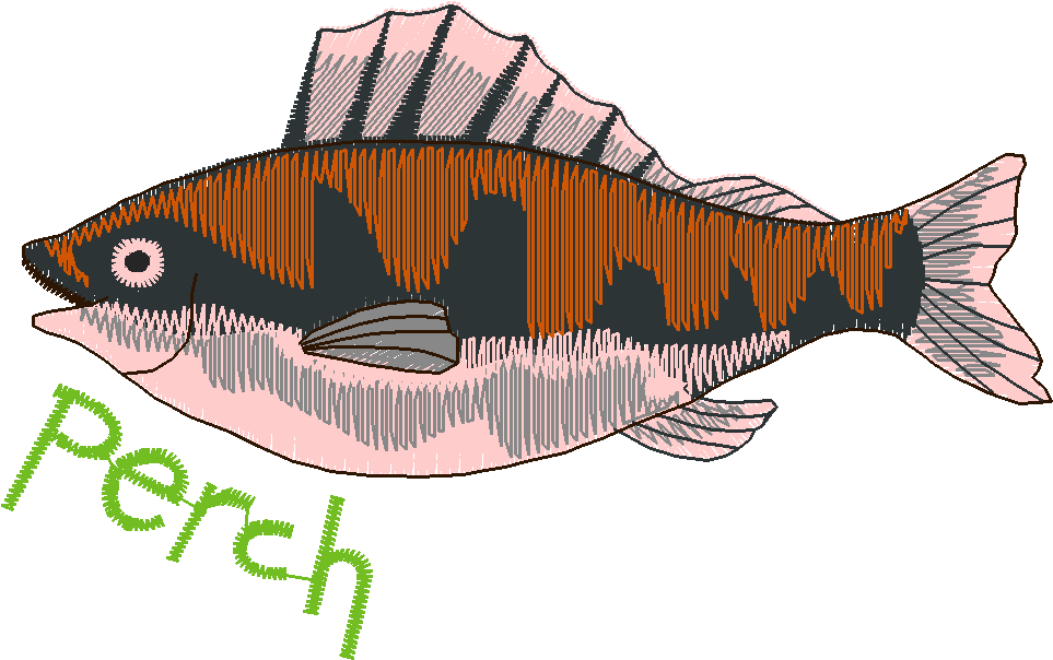 Fishing 1  (19)