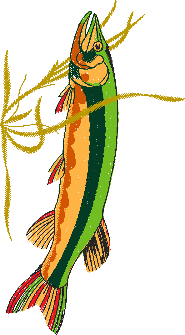 Fishing 1  (35)