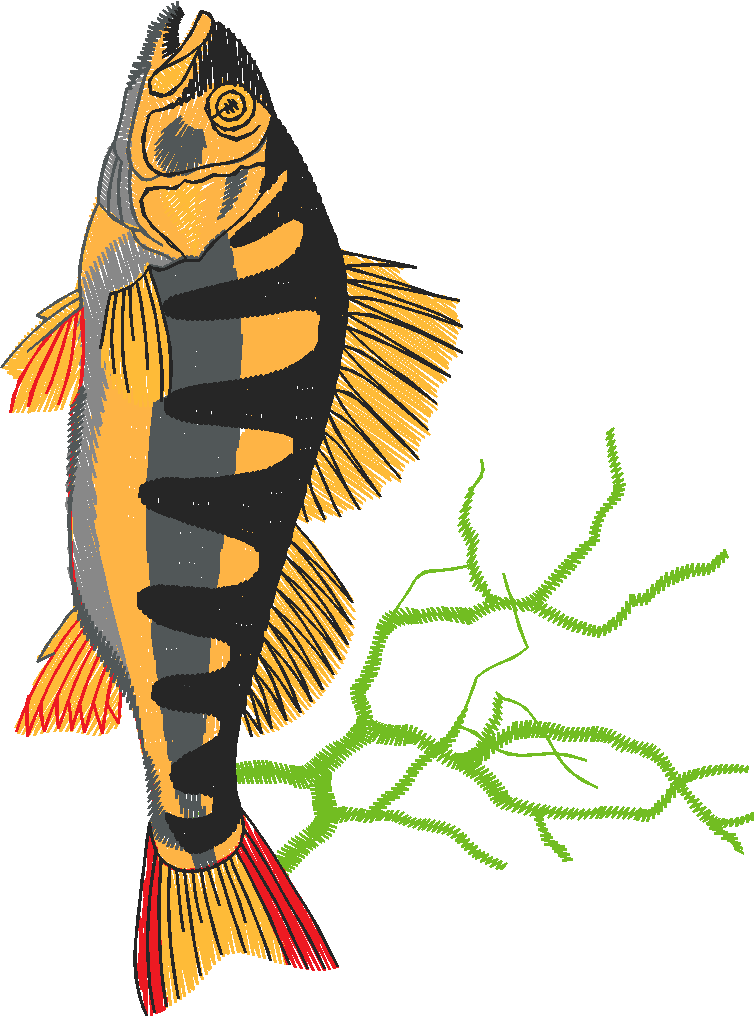 Fishing 1  (38)