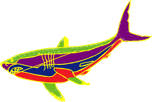 Fishy 1  (24)