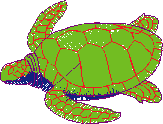 Fishy 1  (30)