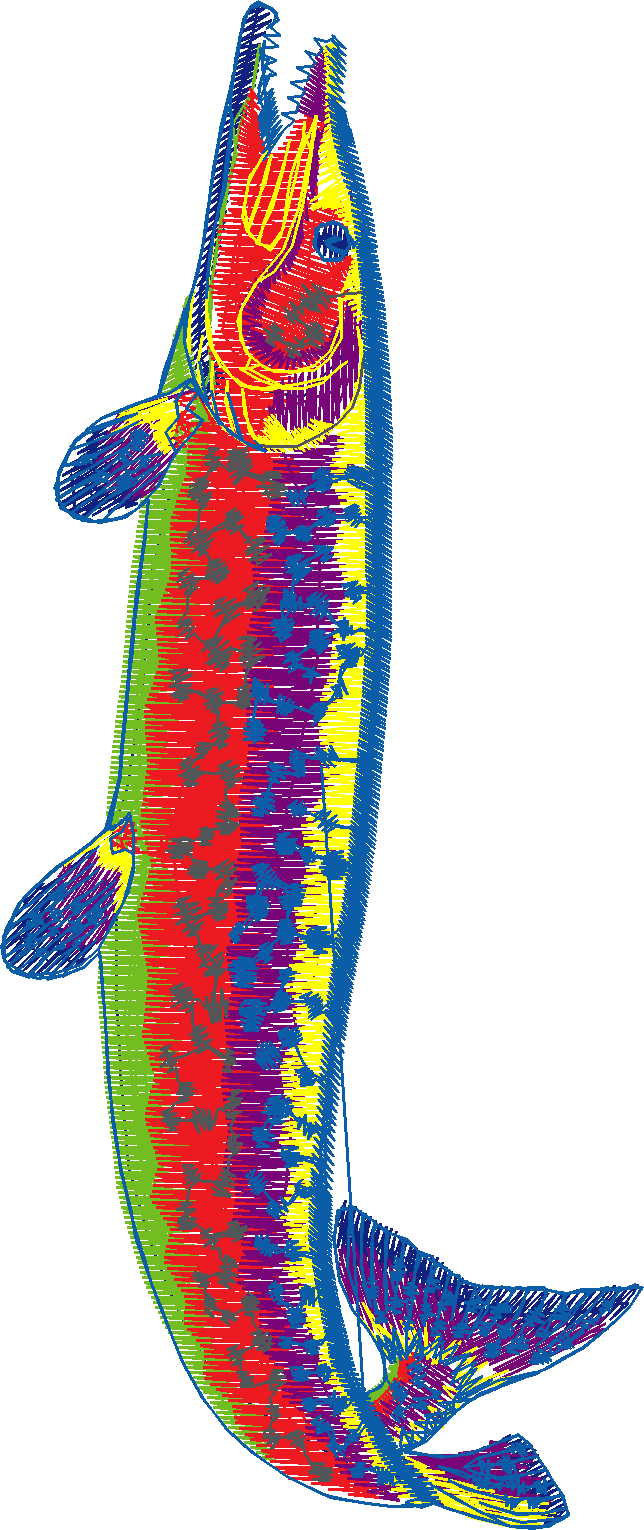 Fishy 1  (33)