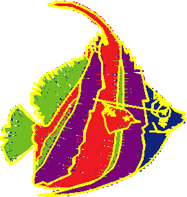 Fishy 1  (81)