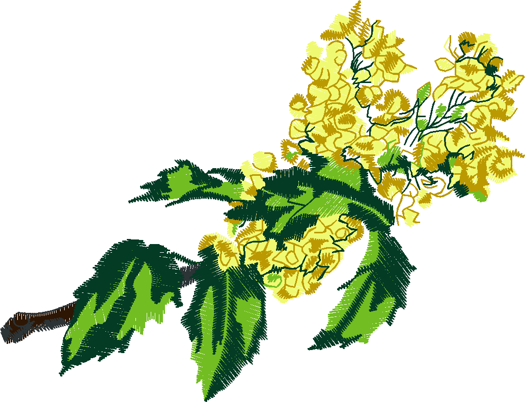 Floral 101  (13)