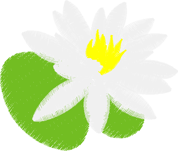 Floral 134  (21)