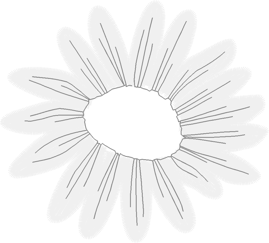 Floral 147  (14)