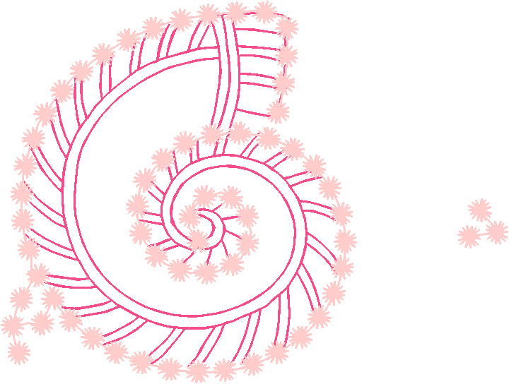 Floral 162 (80)