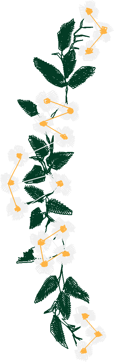 Floral 164 (29)
