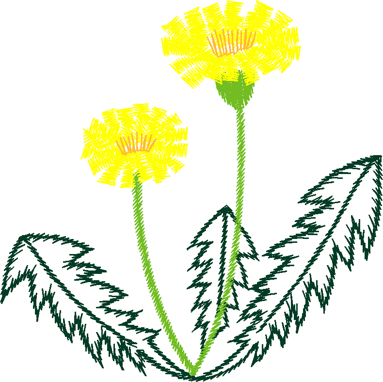 Floral 167 (18)