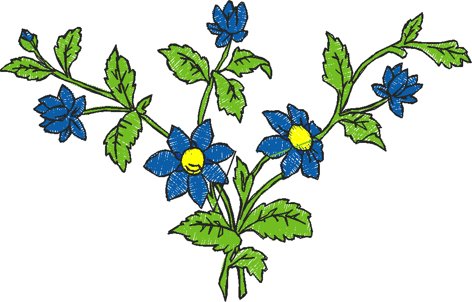 Floral 179 (82)