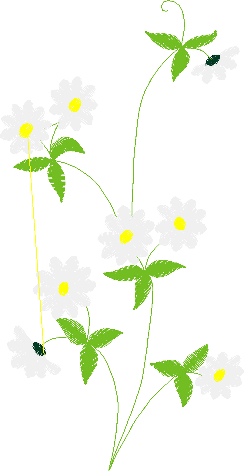 Floral 181 (2)