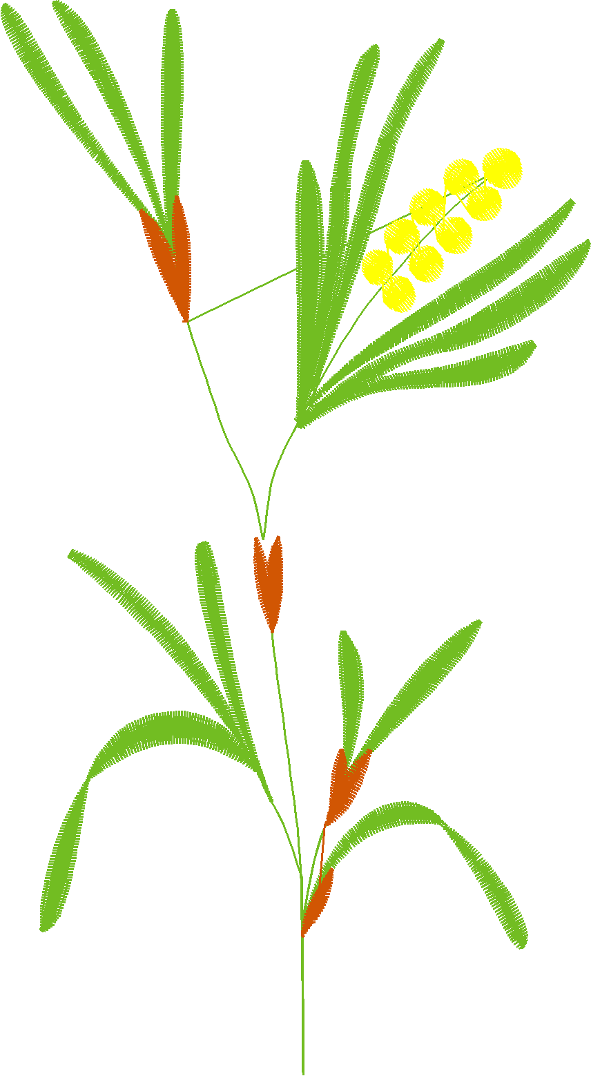 Floral 181 (7)
