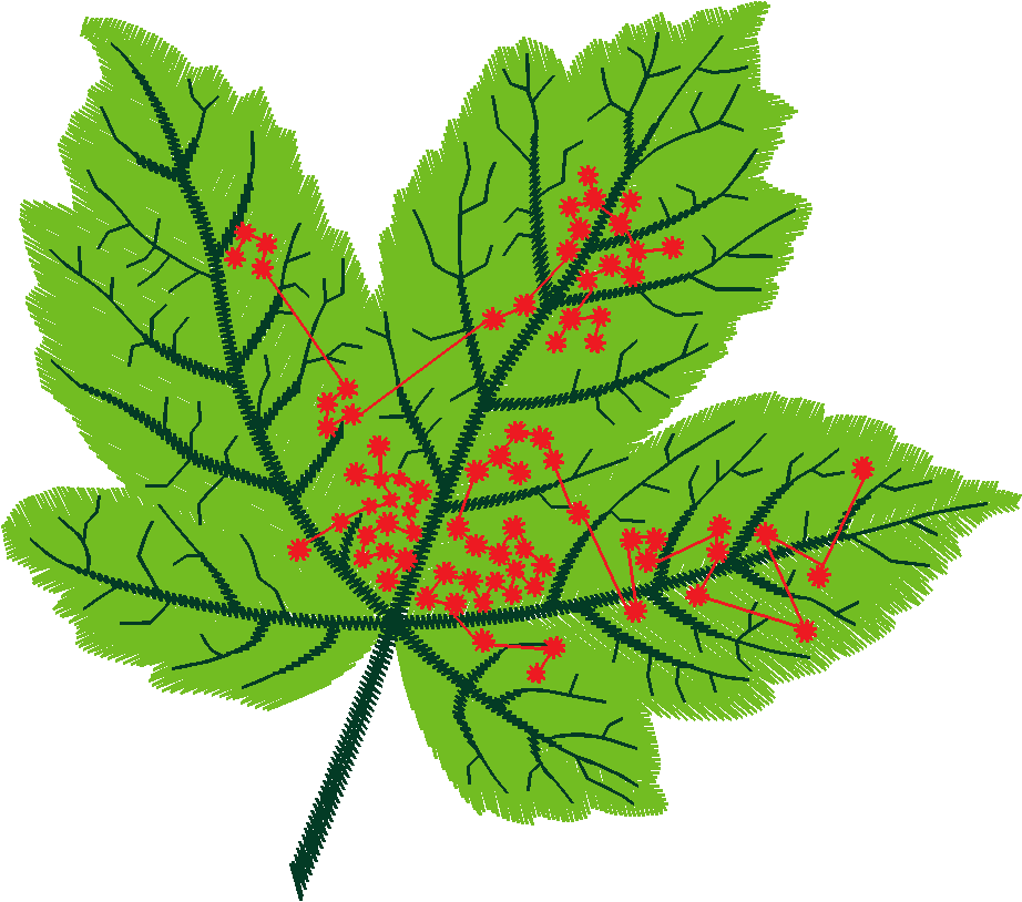 Floral 21  (8)