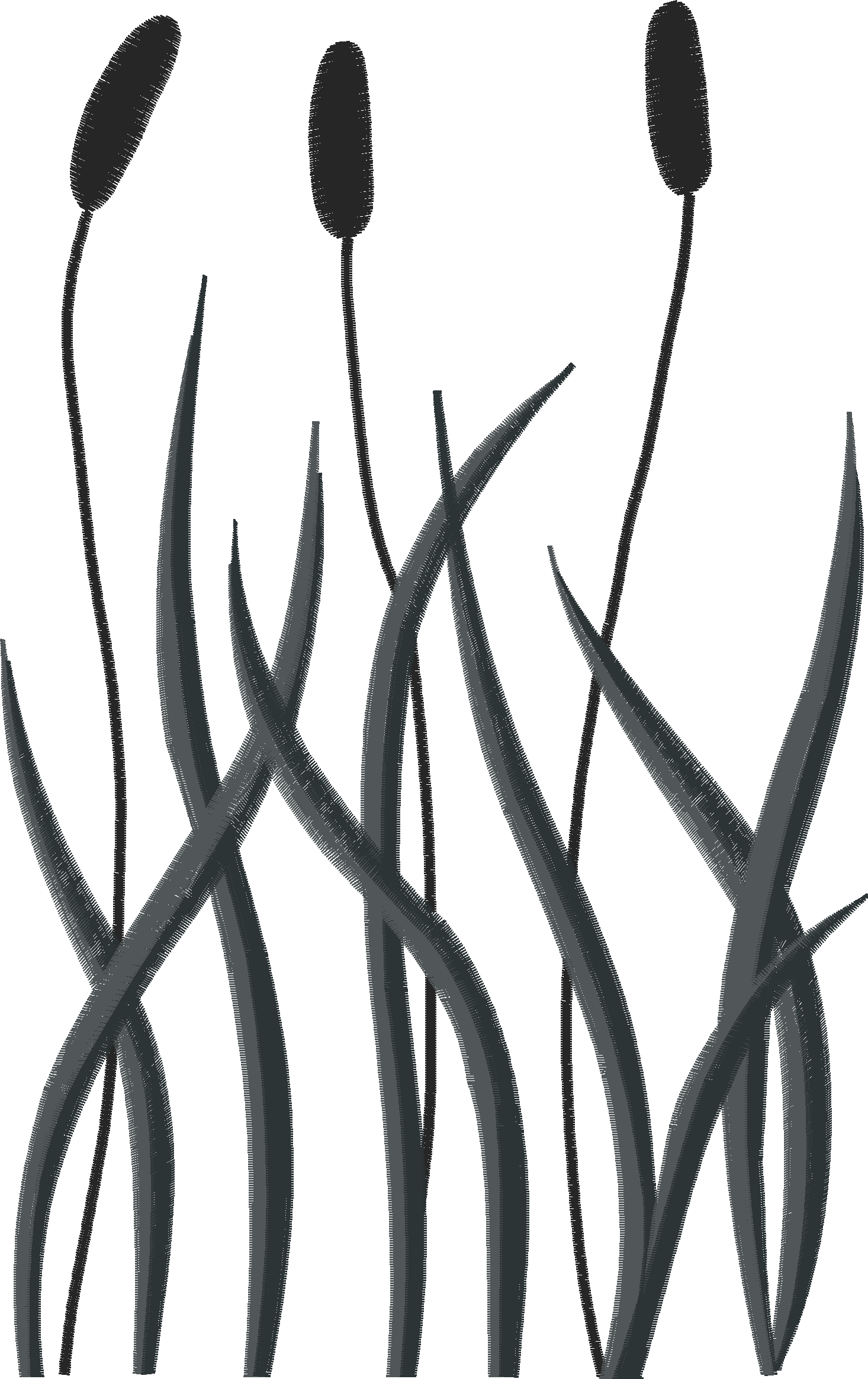 Floral 25  (14)