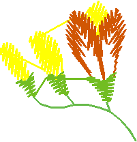 Floral 33  (10)