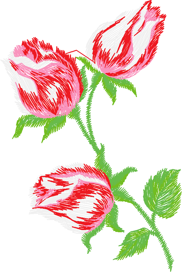 Floral 41  (4)