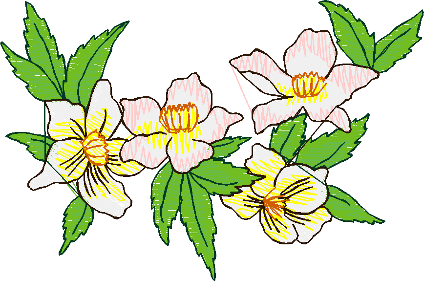 Floral 5  (17)