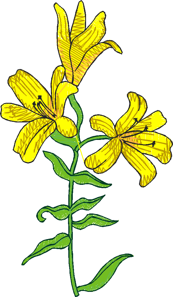 Floral 5  (19)