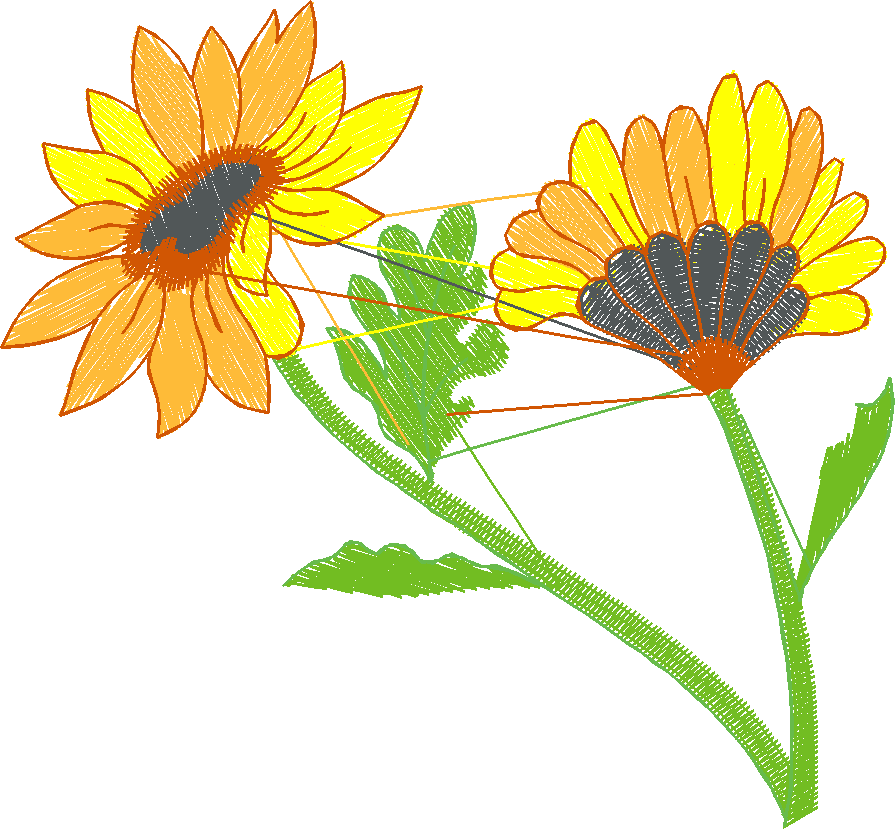 Floral 53  (14)