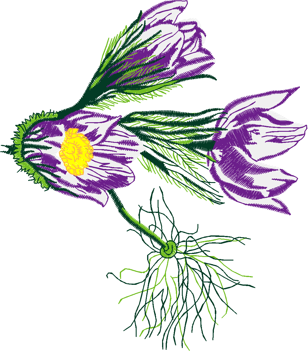 Floral 54  (47)