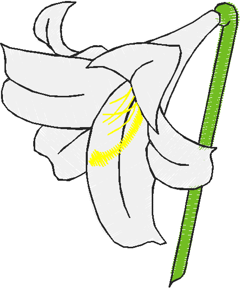 Floral 61  (2)