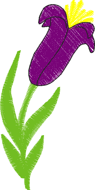Floral 61  (4)