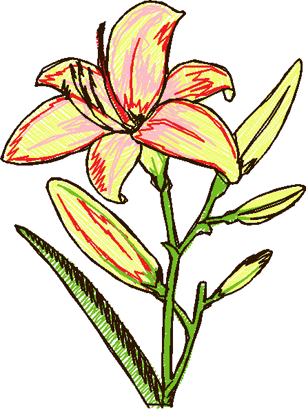 Floral 66  (18)