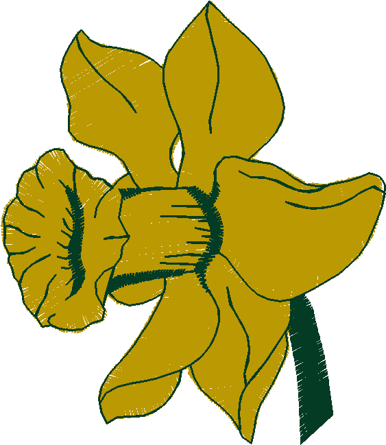 Floral 66  (2)