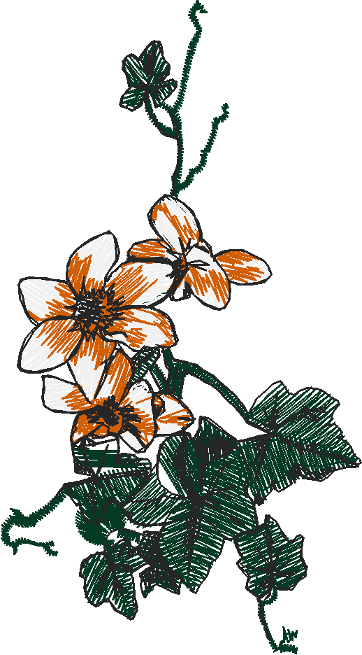 Floral 66  (20)