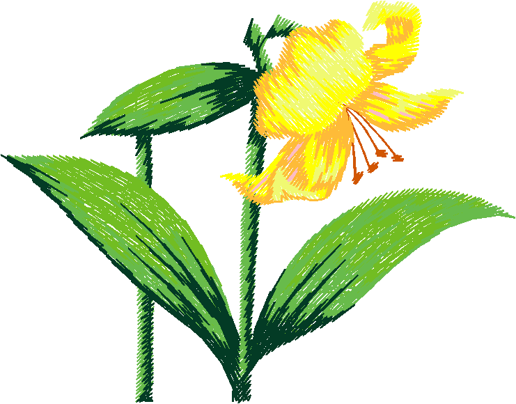 Floral 70  (3)