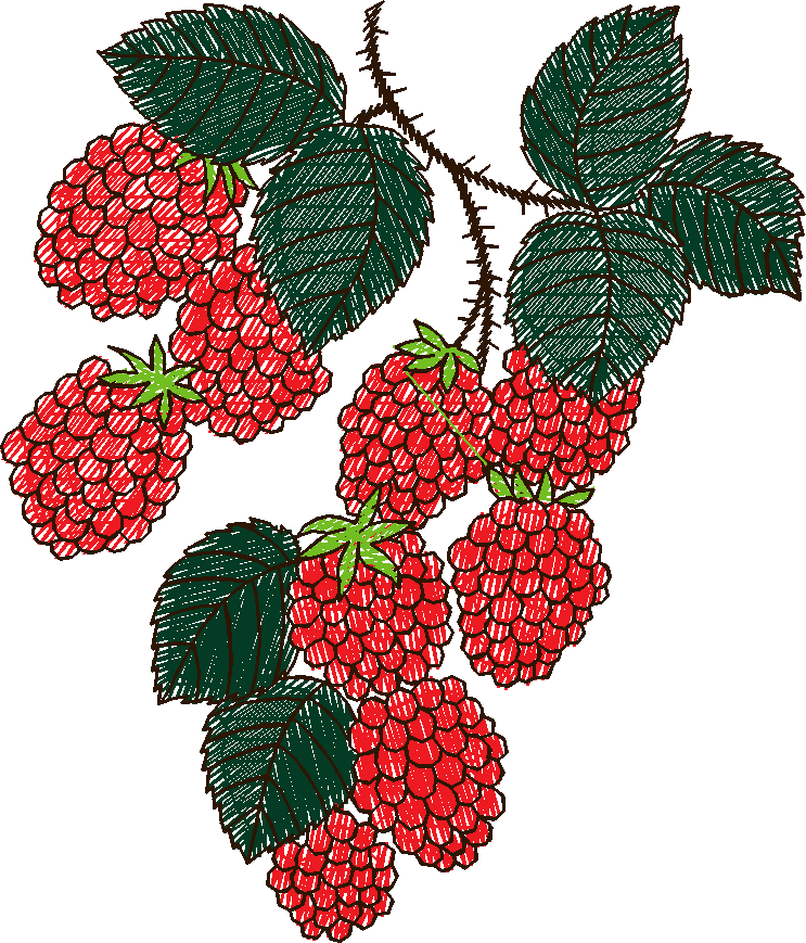 Floral 76  (7)