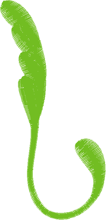 Floral 78  (65)