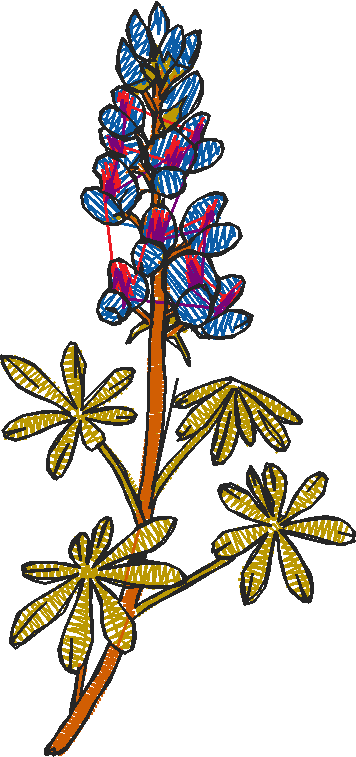 Floral 8  (11)