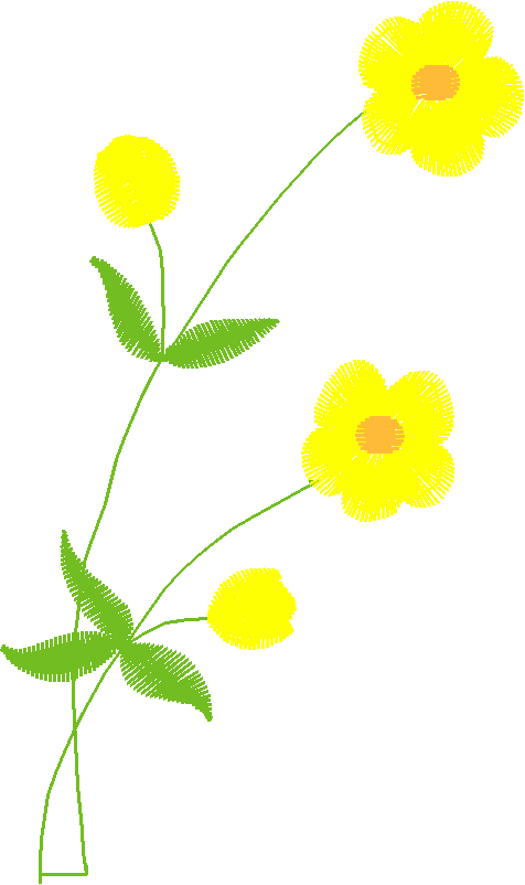 Floral 80  (2)