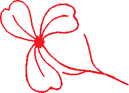 Floral Elements 1  (16)
