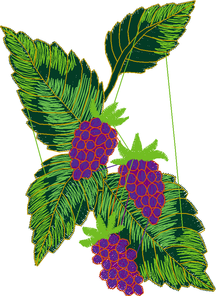 Fruit 1  (9)