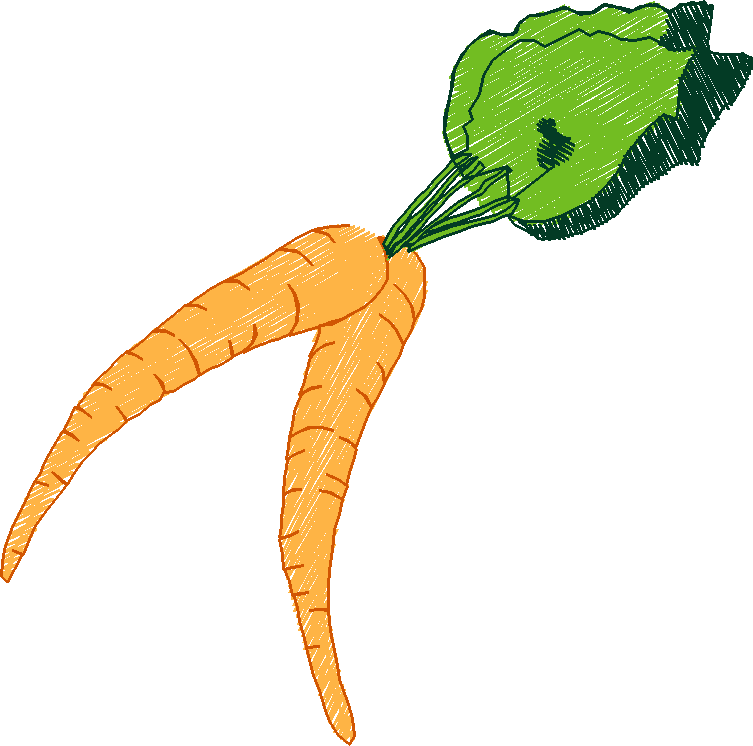 Fruit 10  (4)