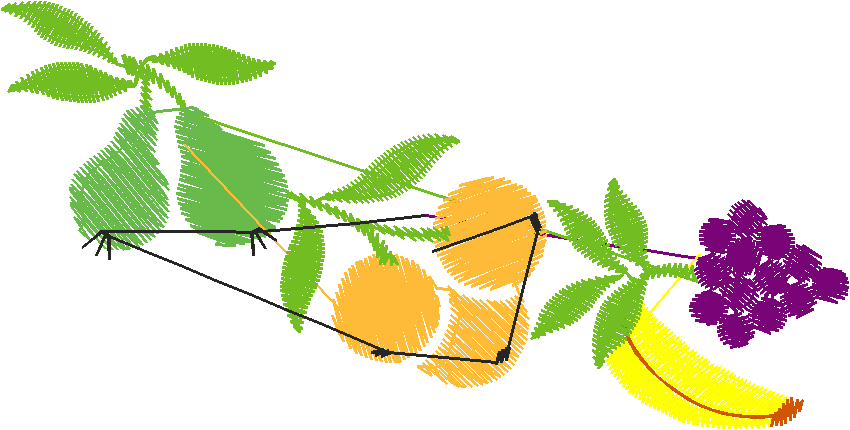 Fruit 6  (14)