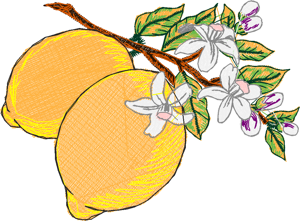 Fruit 8  (23)