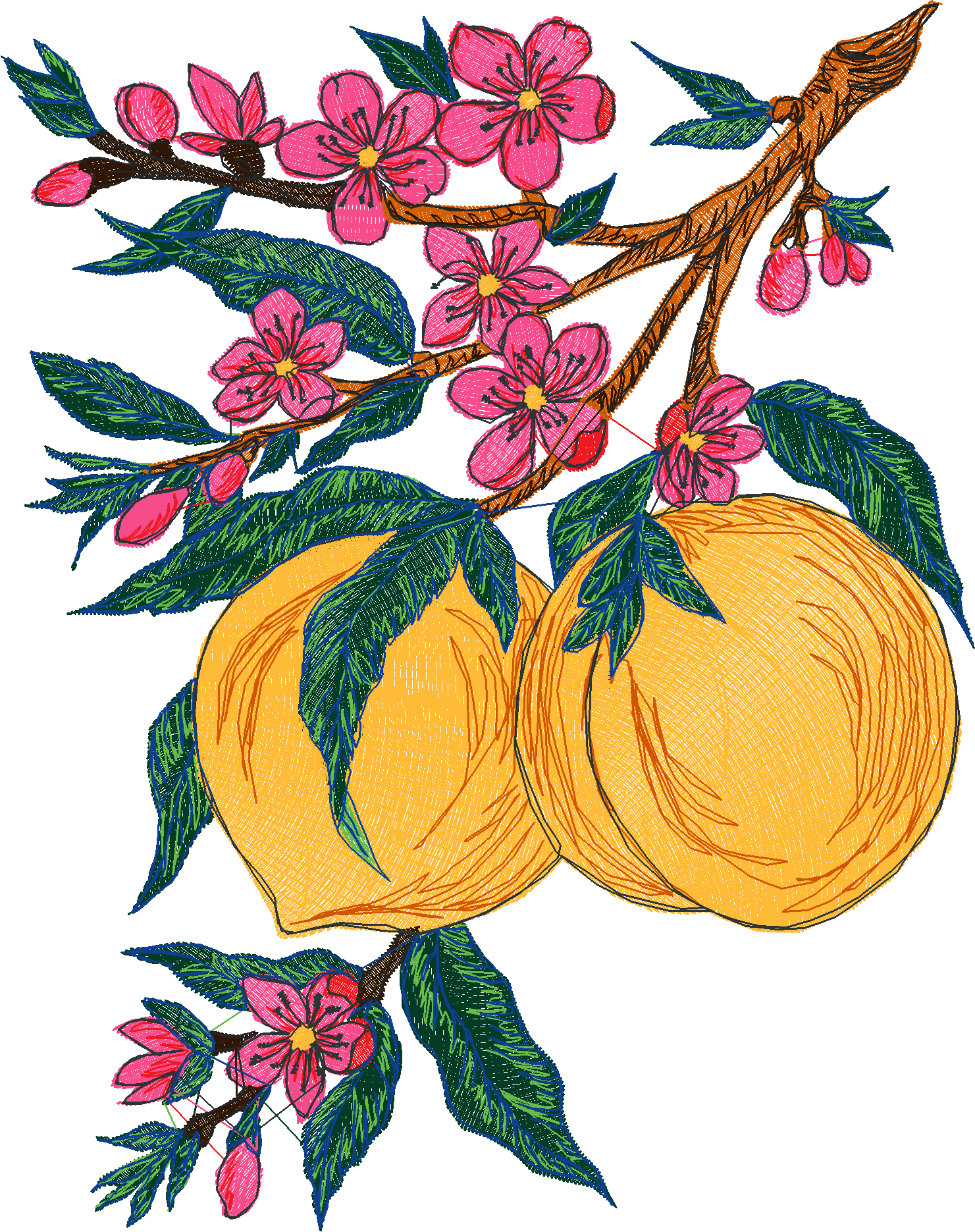 Fruit 8  (30)