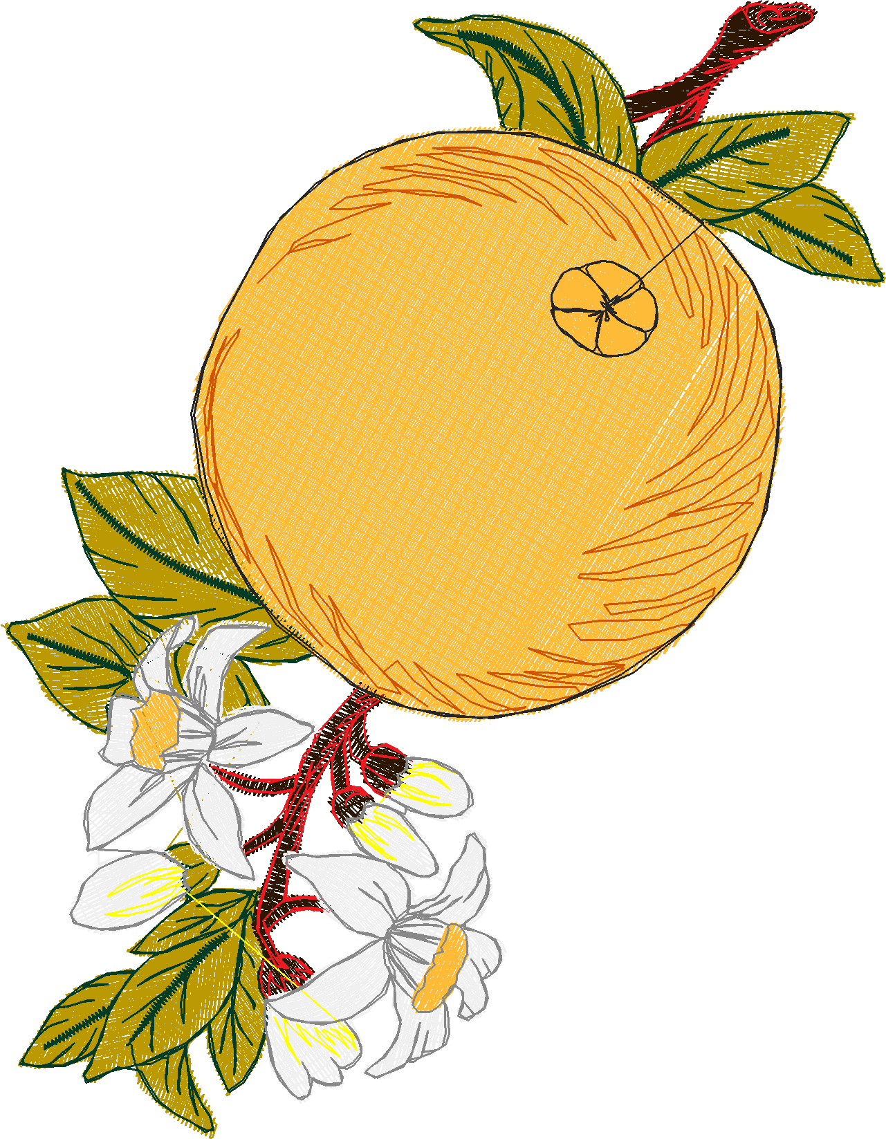 Fruit 8  (6)
