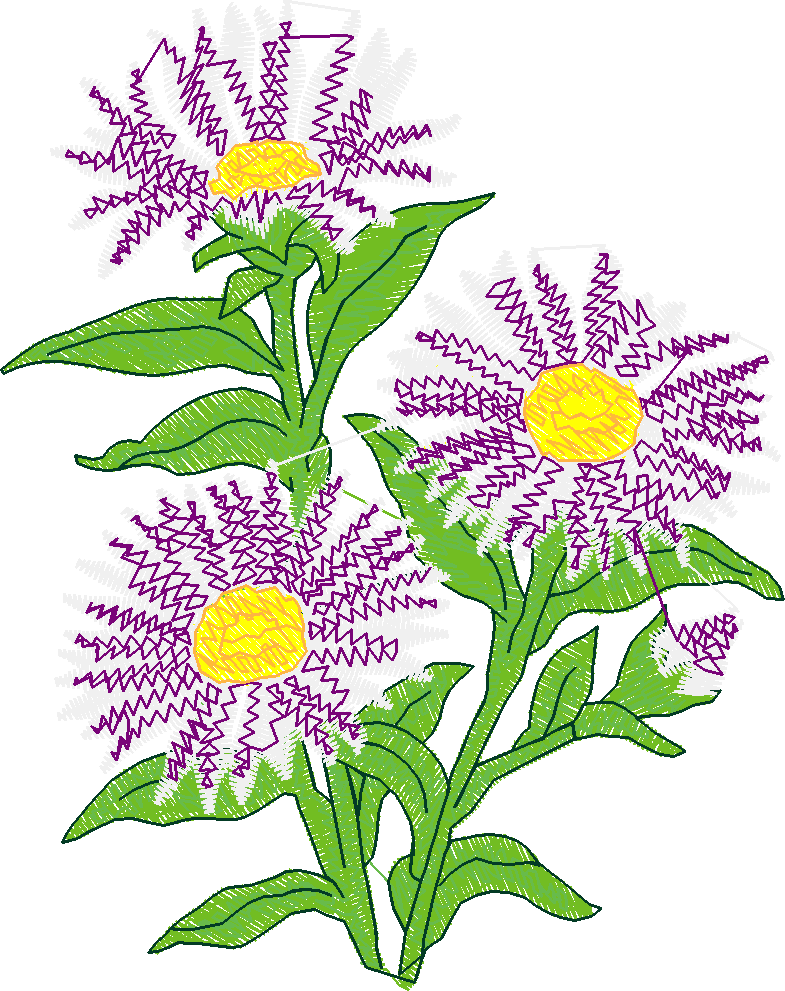 Garden 11  (17)