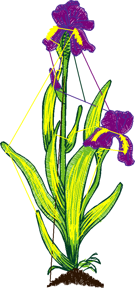 Garden 2  (13)