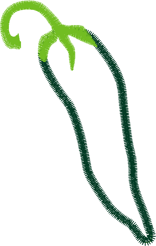 Garden 8  (13)