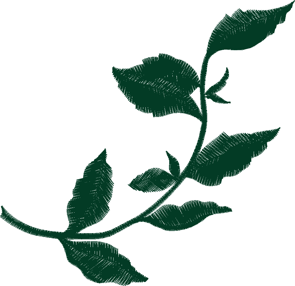 10 Leaf